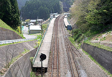 �̒Éw���w��