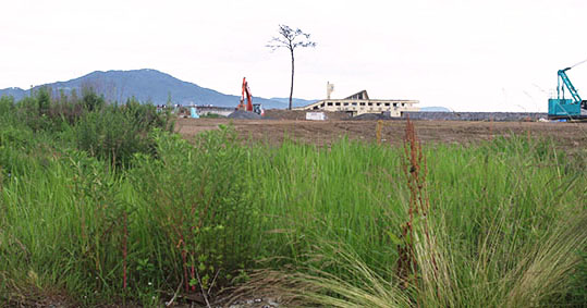 ��Ղ̈�{���w