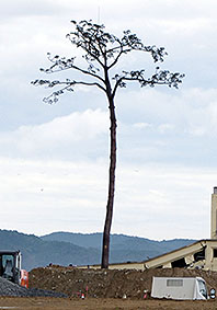 奇跡の一本松駅