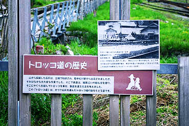 ��������w