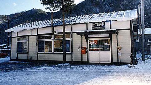 �������w