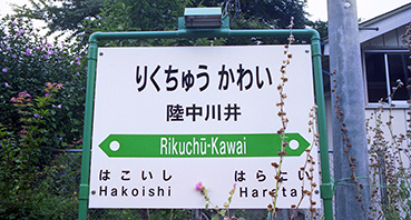 �������w