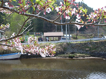 �D�}�w ���w��