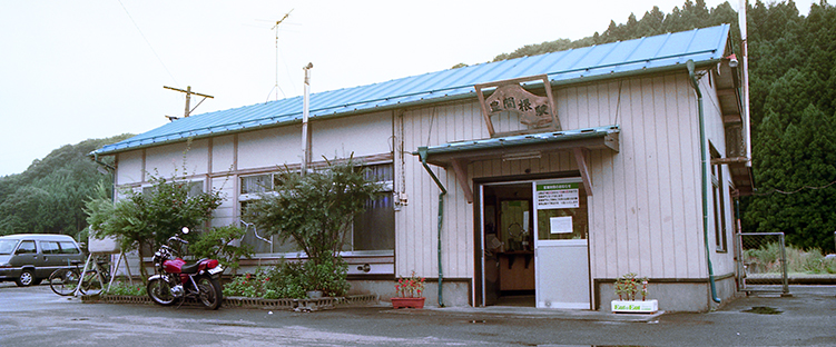 �L�ԍ��w ���w��