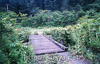 �����@�F�Ö�w��