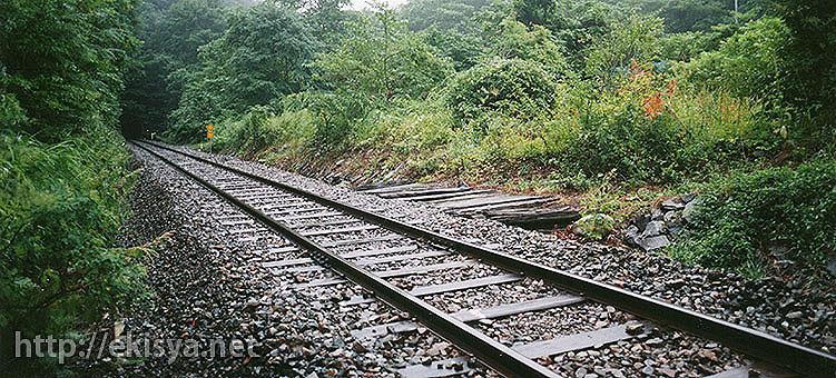 �����@�F�Ö�w��