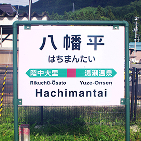 �������w