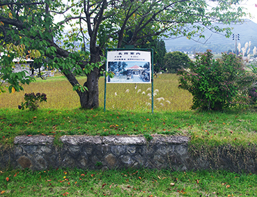 �������w