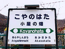 �����̔��w