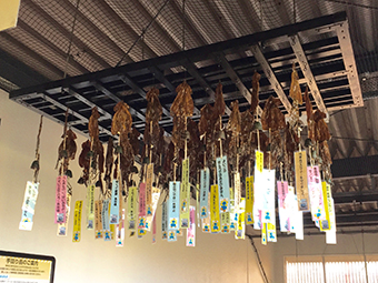 �������w