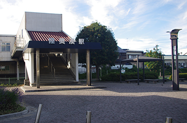 �������w