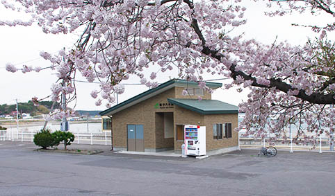 �������؉w