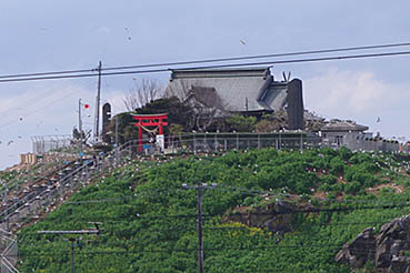 �L�w,����