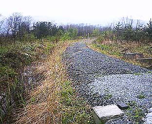 ���k�w ���w��