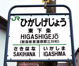 �������w