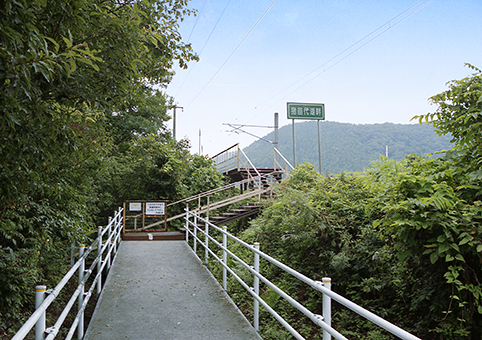 ���c��Δȉw