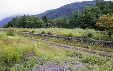 ���R�h���w��