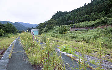 ���R�h���w��