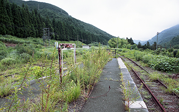 ���R�h���w��