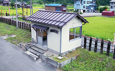 �����c���w