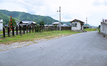 �����c���w