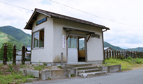 �����c���w