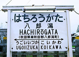 ���Y���w