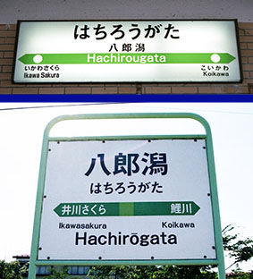 ���Y���w