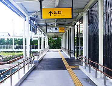 ��O����w