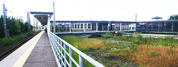 ��O����w