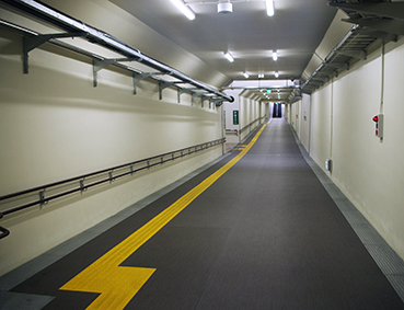 ��O����w