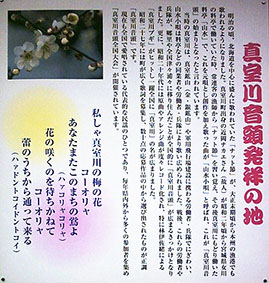 �H�O�L���w