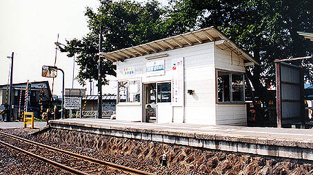 �����͍]�w ���w��