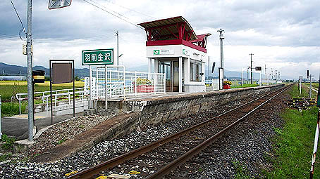 �H�O����w