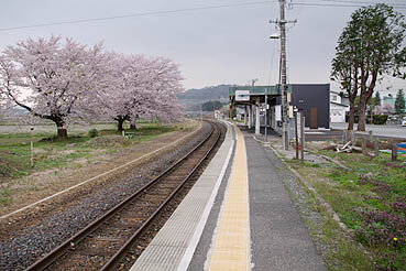 �H�O�����w