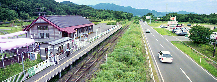 ���������_�w