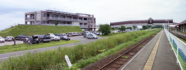 ���������_�w