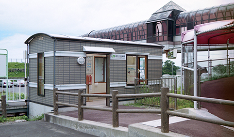 ���������_�w