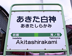 ���������_�w