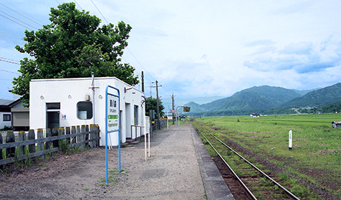 �����X�w