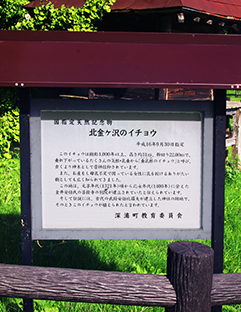 �k���P��w