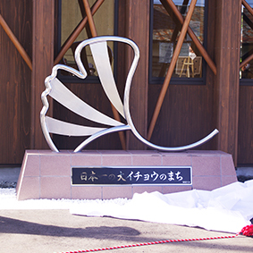 �k���P��w