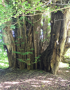 �k���P��w