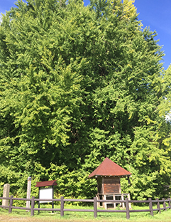 �k���P��w