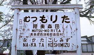 �����X�c�w���w��