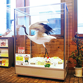 �����ߓc�w