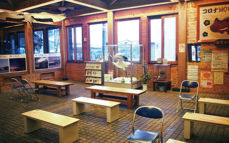 �����ߓc�w