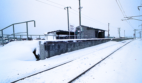 �������w