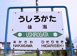 �㊃�w���w��