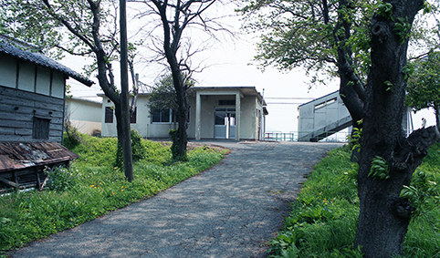 ���P���w